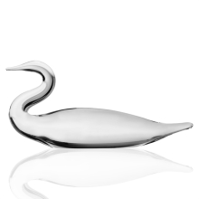 Shore Bird