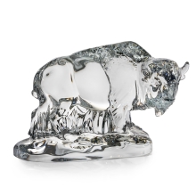 American Bison