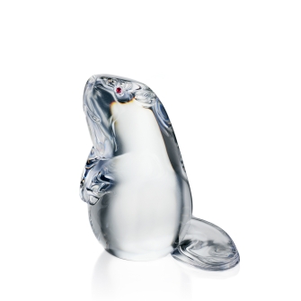 Beaver