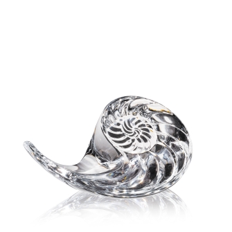 Nautilus