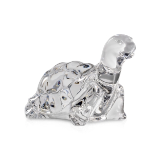 Giant Tortoise Hand Cooler