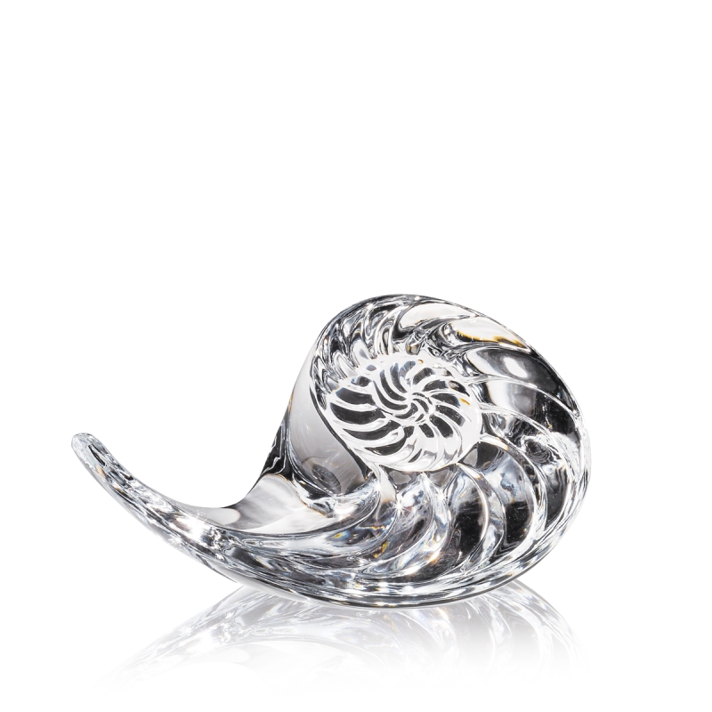 Nautilus