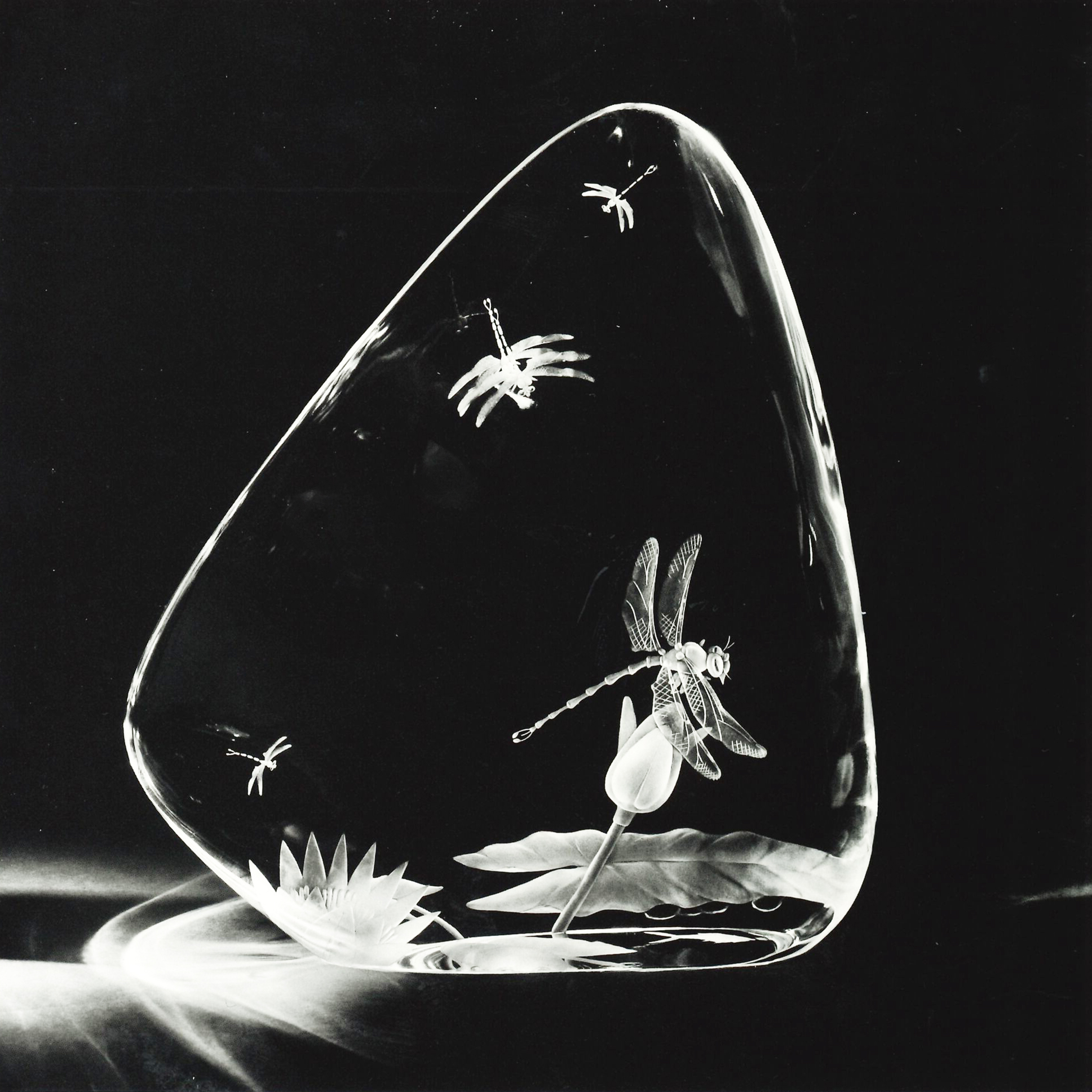 The Dragonfly, from Poetry in Crystal